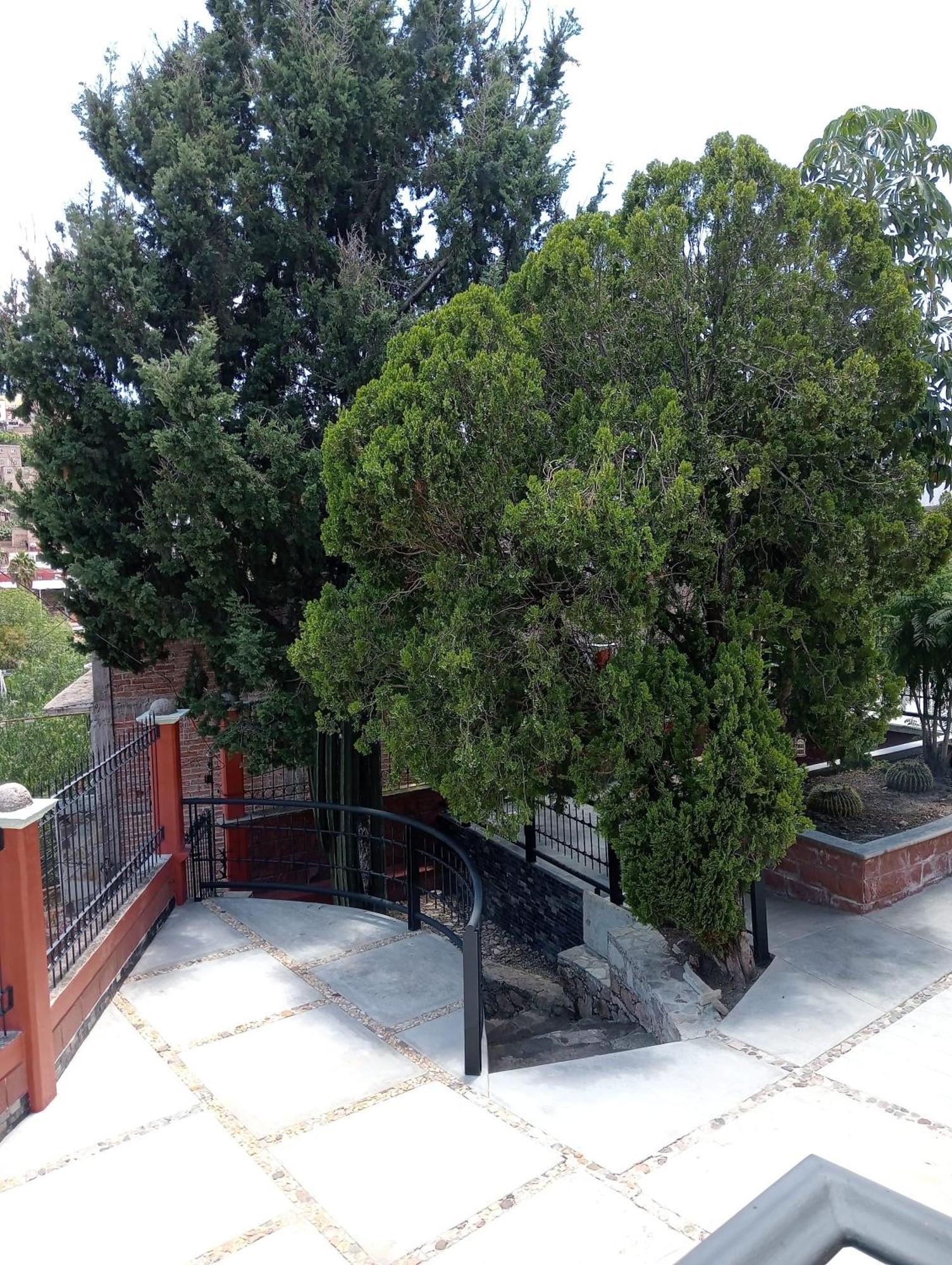 Quinta Mercedes Guanajuato Exterior foto