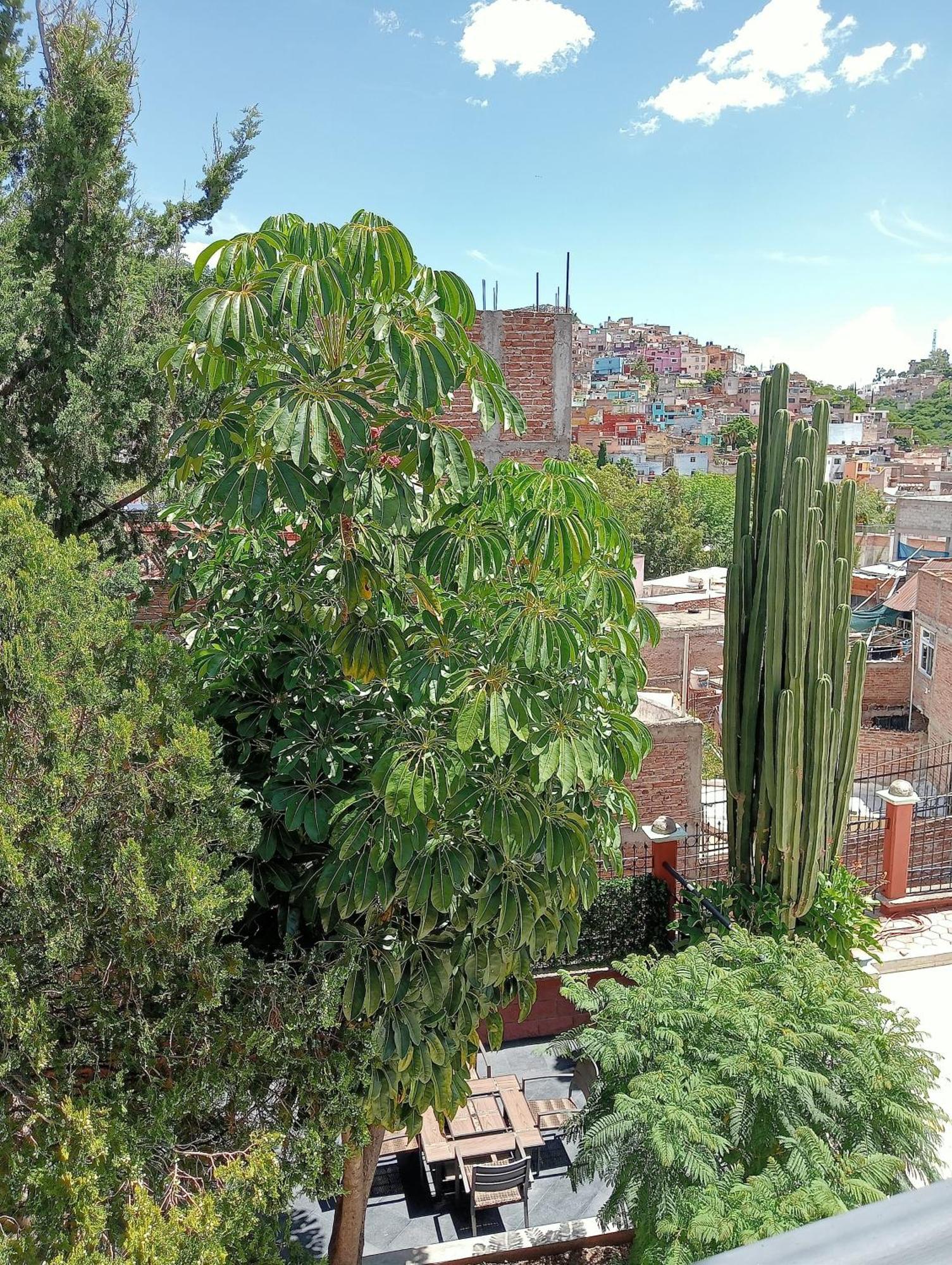 Quinta Mercedes Guanajuato Exterior foto